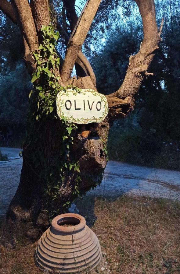 Olivo Nydri Lägenhet Exteriör bild