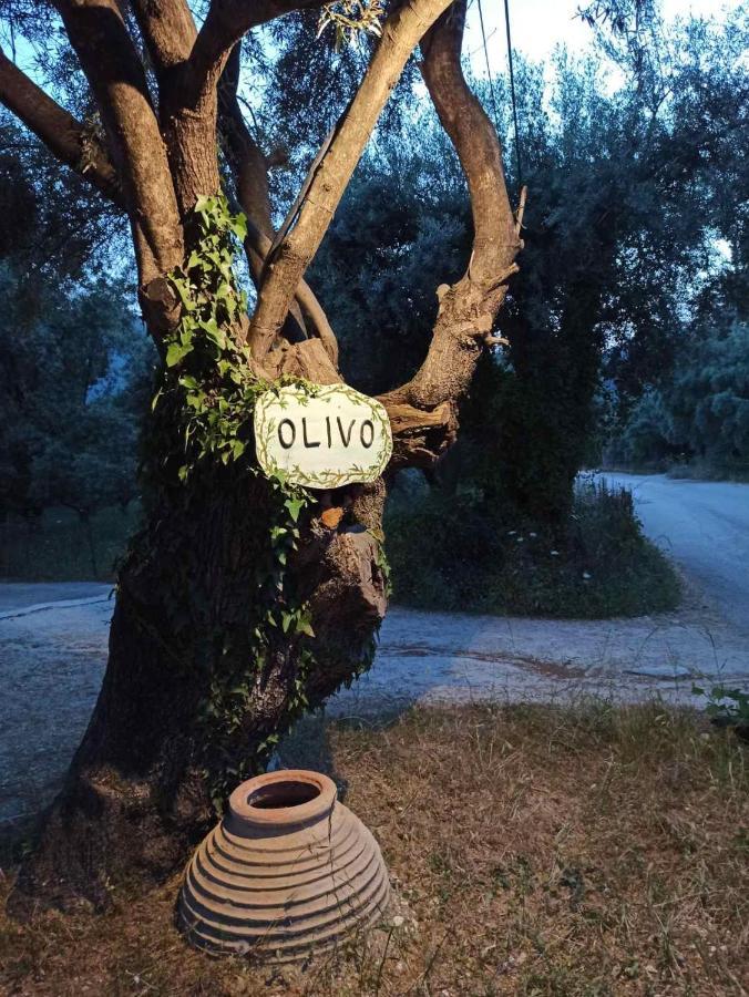 Olivo Nydri Lägenhet Exteriör bild